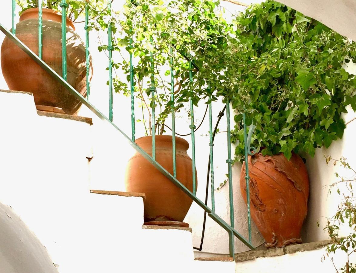 Casa Del Patio Arabe Casas Vejer Debra Villa Vejer de la Frontera Ngoại thất bức ảnh